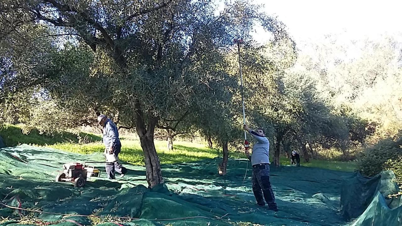 Eleas Gi Villa Vitaládes Екстериор снимка
