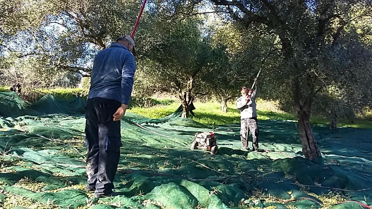 Eleas Gi Villa Vitaládes Екстериор снимка